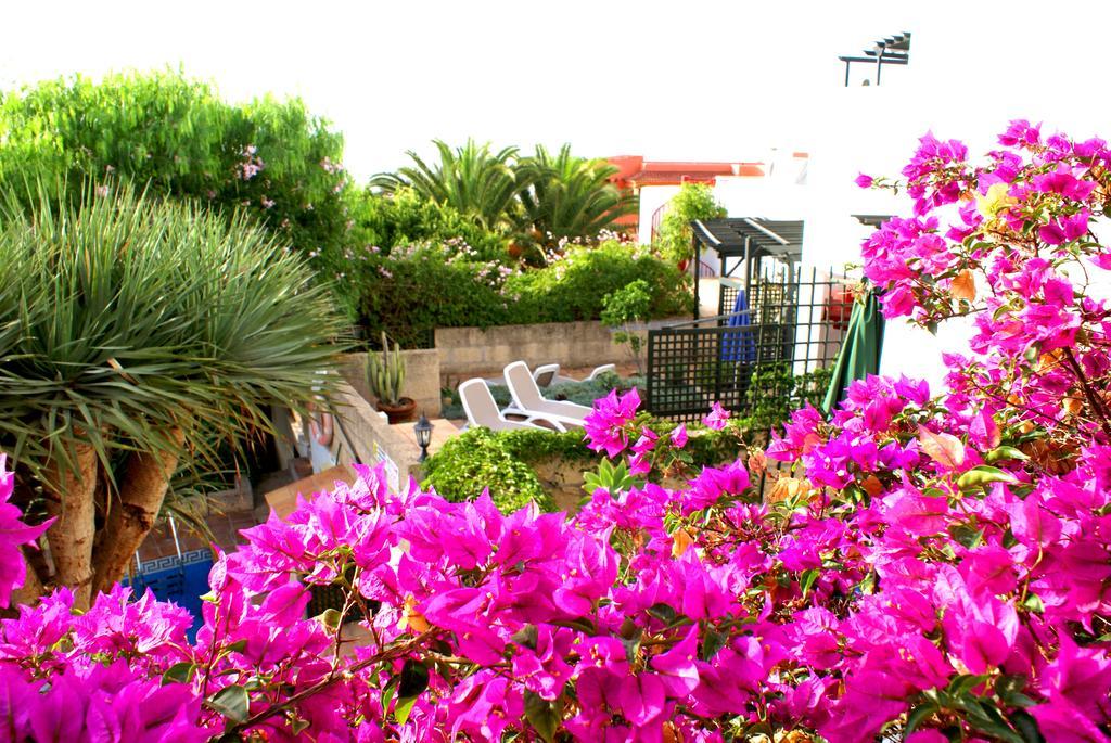 Casa San Miguel Apartment San Miguel de Abona Bagian luar foto